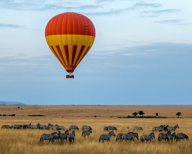 13 Days Kenya & Tanzania Safari