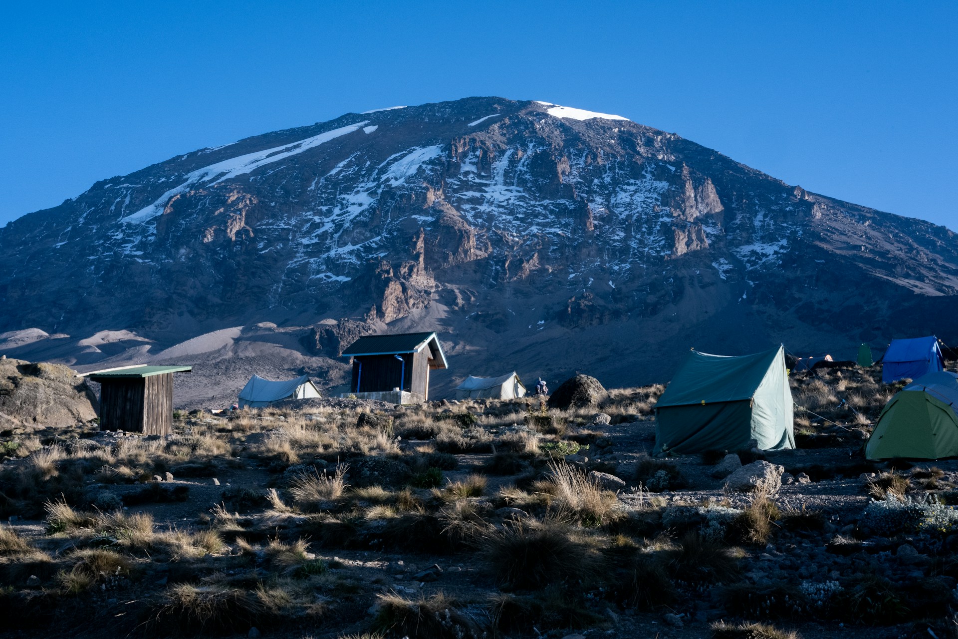 7 Days Lemosho Route Kilimanjaro Trekking