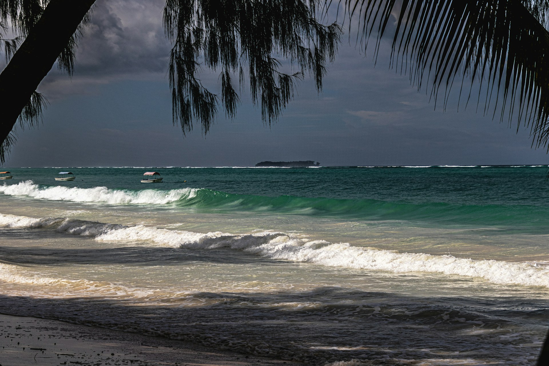 Safaris in Matemwe Beach