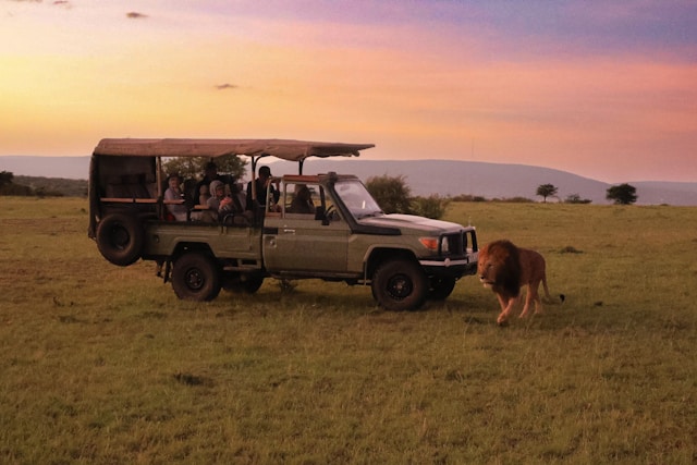 4 DAY SAFARI GOMBE NATIONAL PARK, TANZANIA