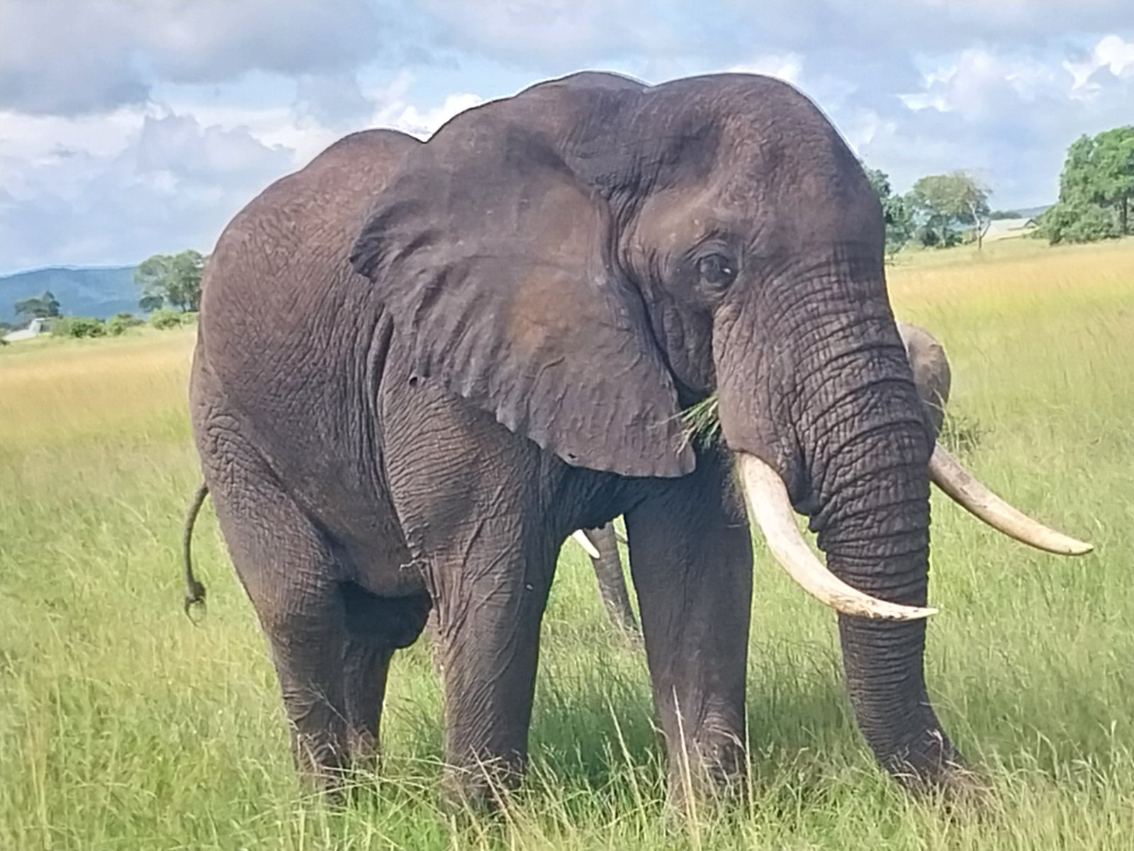 3-Day Mikumi National Park Wildlife Safari
