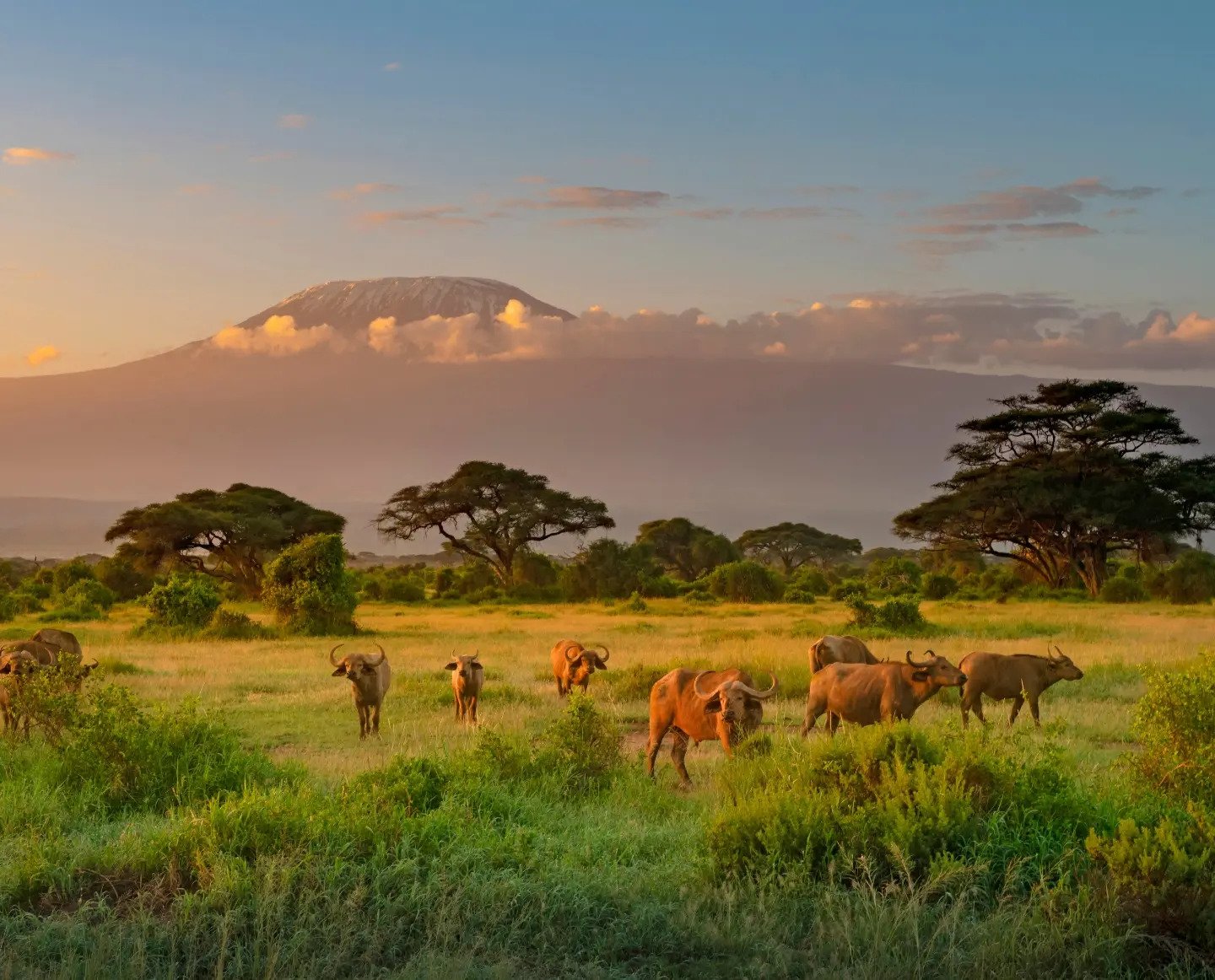 3-Day Zanzibar Serengeti and Ngorongoro Crater Fly-In Safari