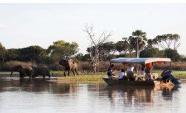 Southern Tanzania safari landscape